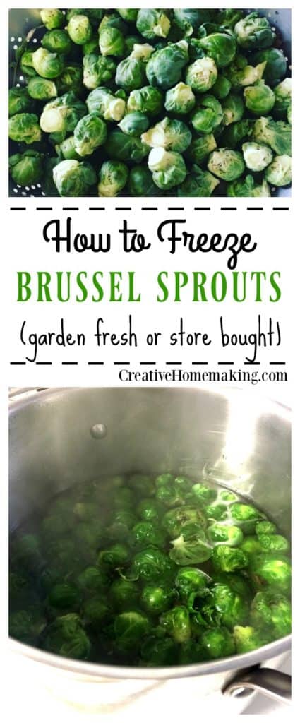 The easy way to freeze garden fresh or store bought brussel sprouts so that they last all winter.